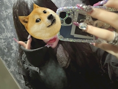 プロフィール写真2・あい｜Girls bar Kissin'・キッシン - 練馬のガールズバー