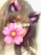 プロフィール写真10・🌸さくら🍒オーシャンズ💜🩷｜熟女キャバクラ・錦 オーシャンズ