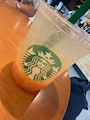 新着ブログ スタバ
