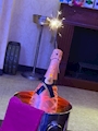 chiko