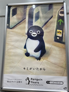 まゆか🐼