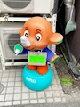 chiko