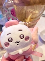 chiko