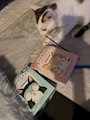chiko