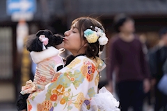進撃のゆり