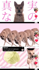 *