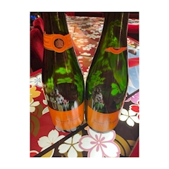 みなみ「あけましておめでとうございます🎍」