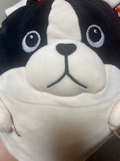 さおり