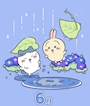 新着ブログ 🩵🐶🐰🍩💙
