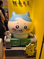 chiko