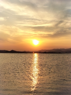 🌻せな🌻