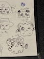 chiko
