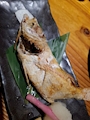 新着ブログ 新潟