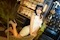 プロフィール写真25・かれん🧸💕Juliette Lounge|Juliette Lounge・ジュリエット - 柏駅 東口のキャバクラ