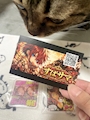 chiko