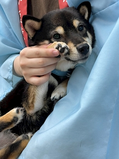 ブログ一覧 10ページ目 ガチ恋練馬店 練馬のガールズバー