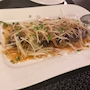 新着ブログ 高知🐟
