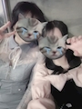 chiko