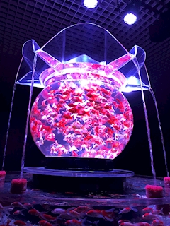 プロフィール写真5・めぐママ｜Refuge clair・ルフージュ クレール - 三重 四日市のスナック