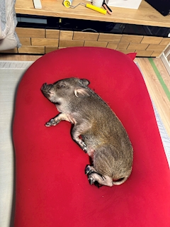 プロフィール写真10・りほ｜Orsay・オルセー - 岐阜 各務原のキャバクラ