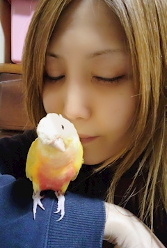 水城 結花「店休日」