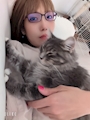 新着ブログ 🐱