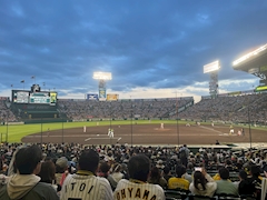 プロフィール写真26・みらい️‎🐈‍⬛🎀｜フェスティバル 千日前店 - 千日前のスナック