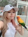 chiko