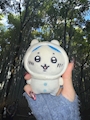 chiko