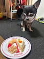 chiko