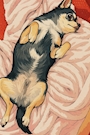 chiko