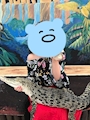 めぐ