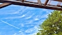 新着ブログ 夏だなぁ