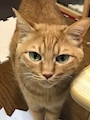プリティウーマン