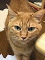 プリティウーマン