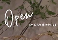 すずマネージャー