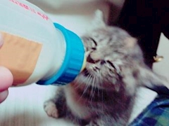 プロフィール写真9・みゆ｜CLUB ROYCE・ロイス - 船橋のキャバクラ