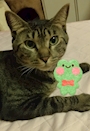 chiko