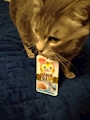 chiko