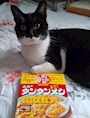chiko
