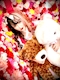 プロフィール写真4・坂上 るい(ママ)｜