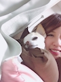 chiko
