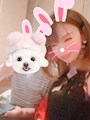 chiko