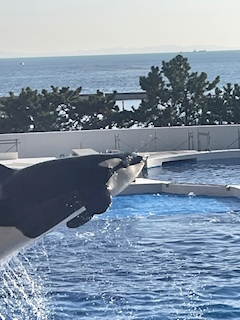 ユイ