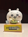 chiko