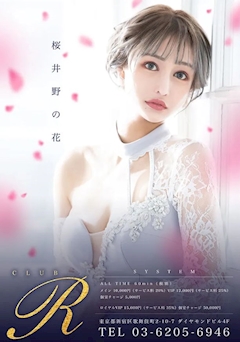 プロフィール写真9・桜井　野の花｜club R・アール - 歌舞伎町のキャバクラ