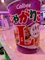 chiko