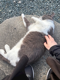ありさ「07.18」