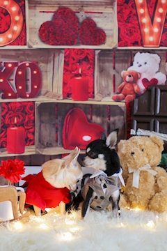 天使 あみ「9/28」