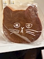 新着ブログ ねこねこ